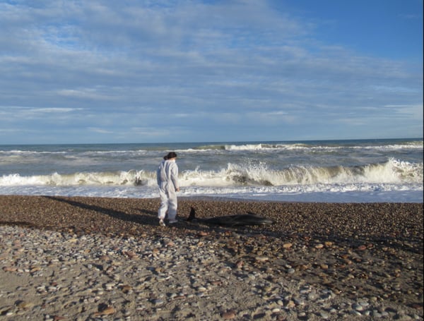 Sofia_Ten_i_dofi_encallat_mitjans