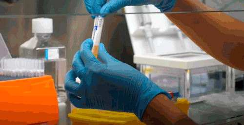 gif_sabias